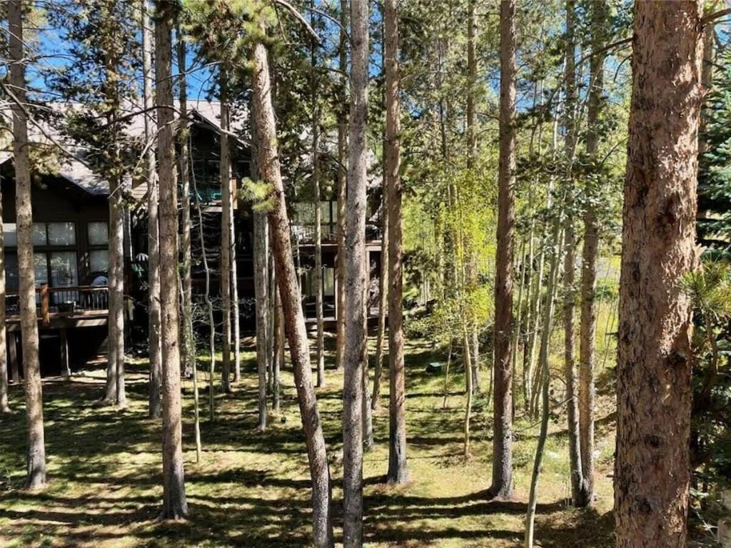 Luxury Modern Townhome Steps To Ski Lifts And Downtown With Nature At Your Patio Breckenridge Exterior photo